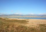 Image of landscape