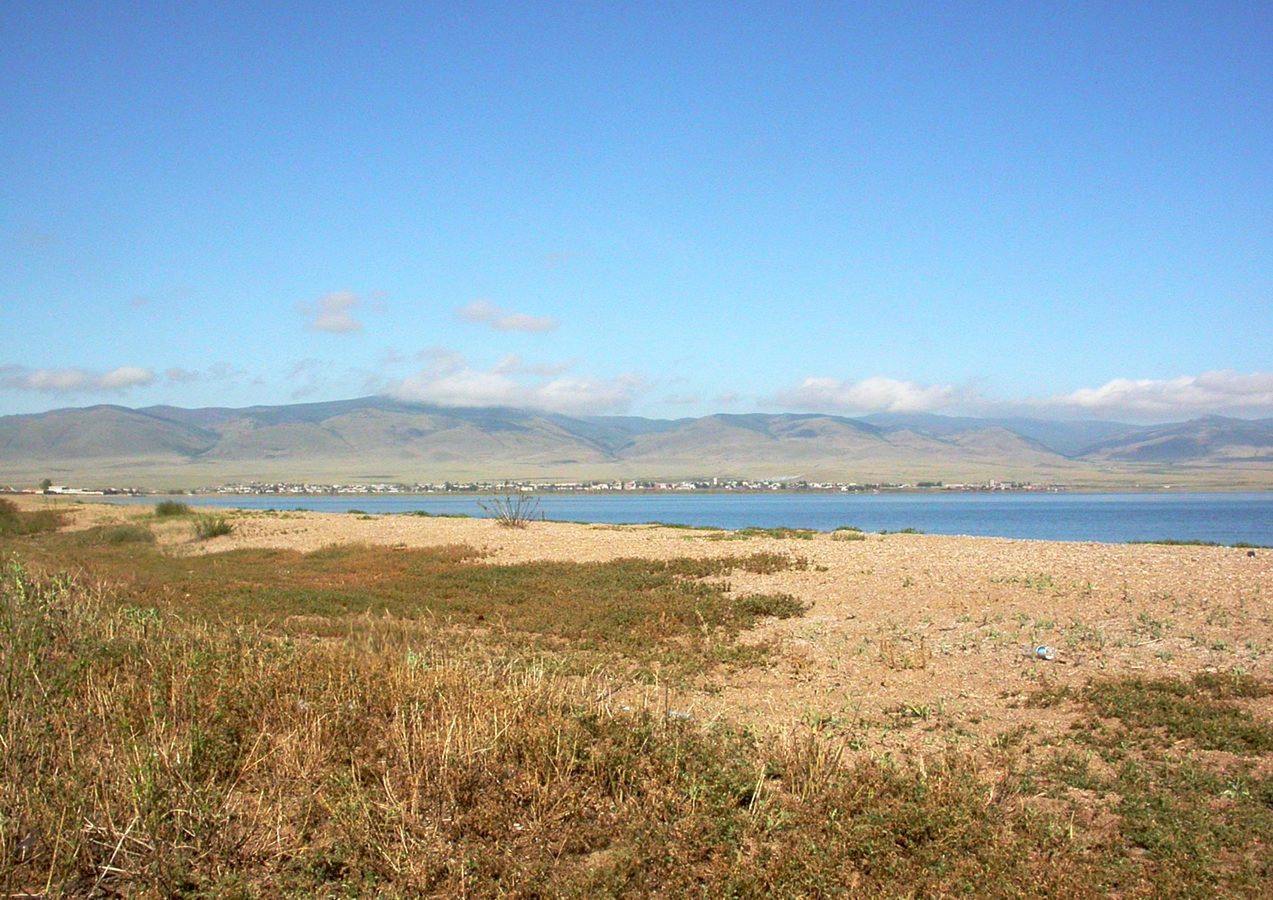 Южный берег Гусиного озера, image of landscape/habitat.