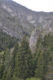 Image of landscape