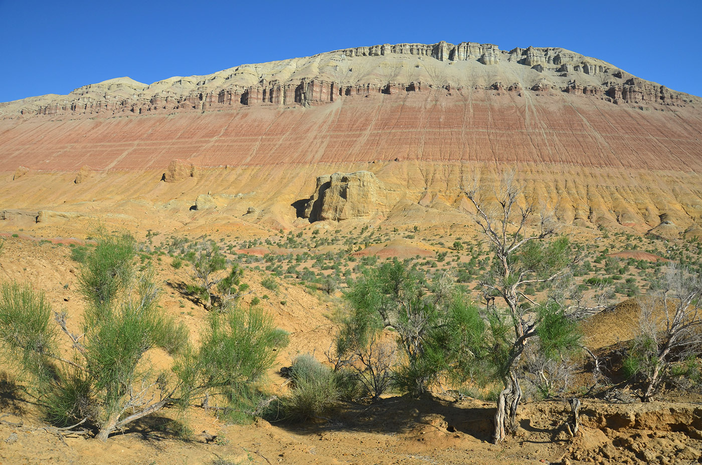 Горы Актау (Алтын-Эмель), image of landscape/habitat.