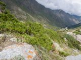 Image of landscape