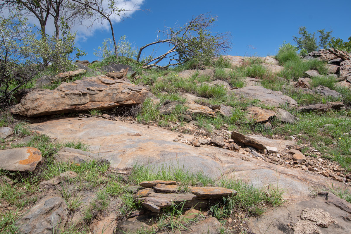 Кхомас, image of landscape/habitat.