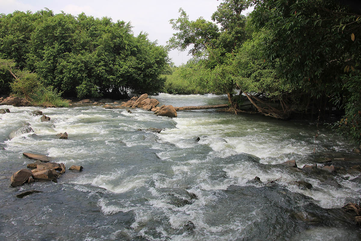 Йокдон, image of landscape/habitat.
