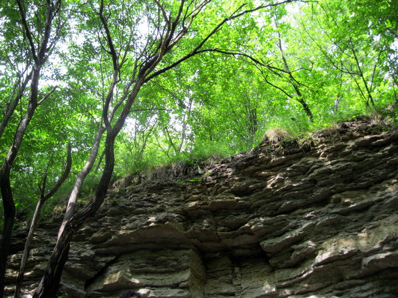 Каньон реки Лавы, image of landscape/habitat.