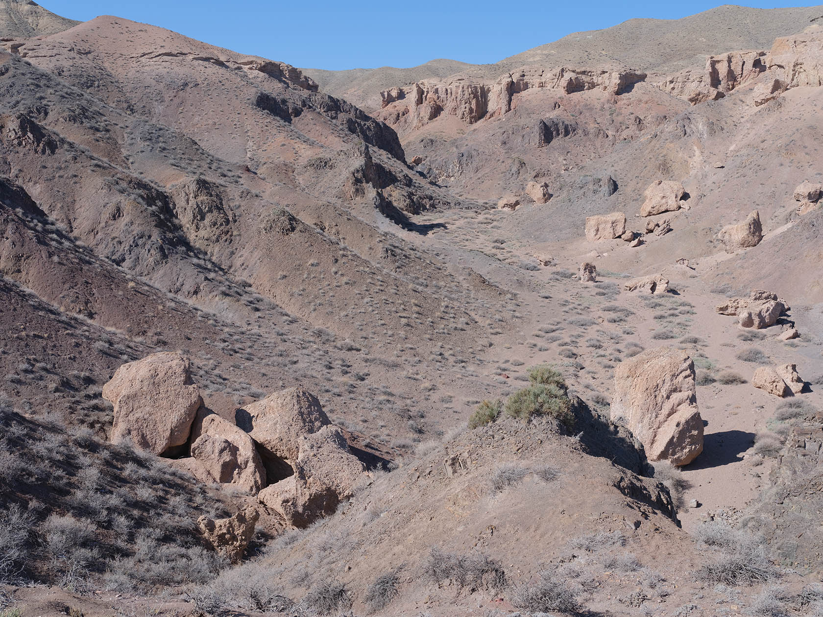 Чарын, image of landscape/habitat.