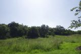 Image of landscape
