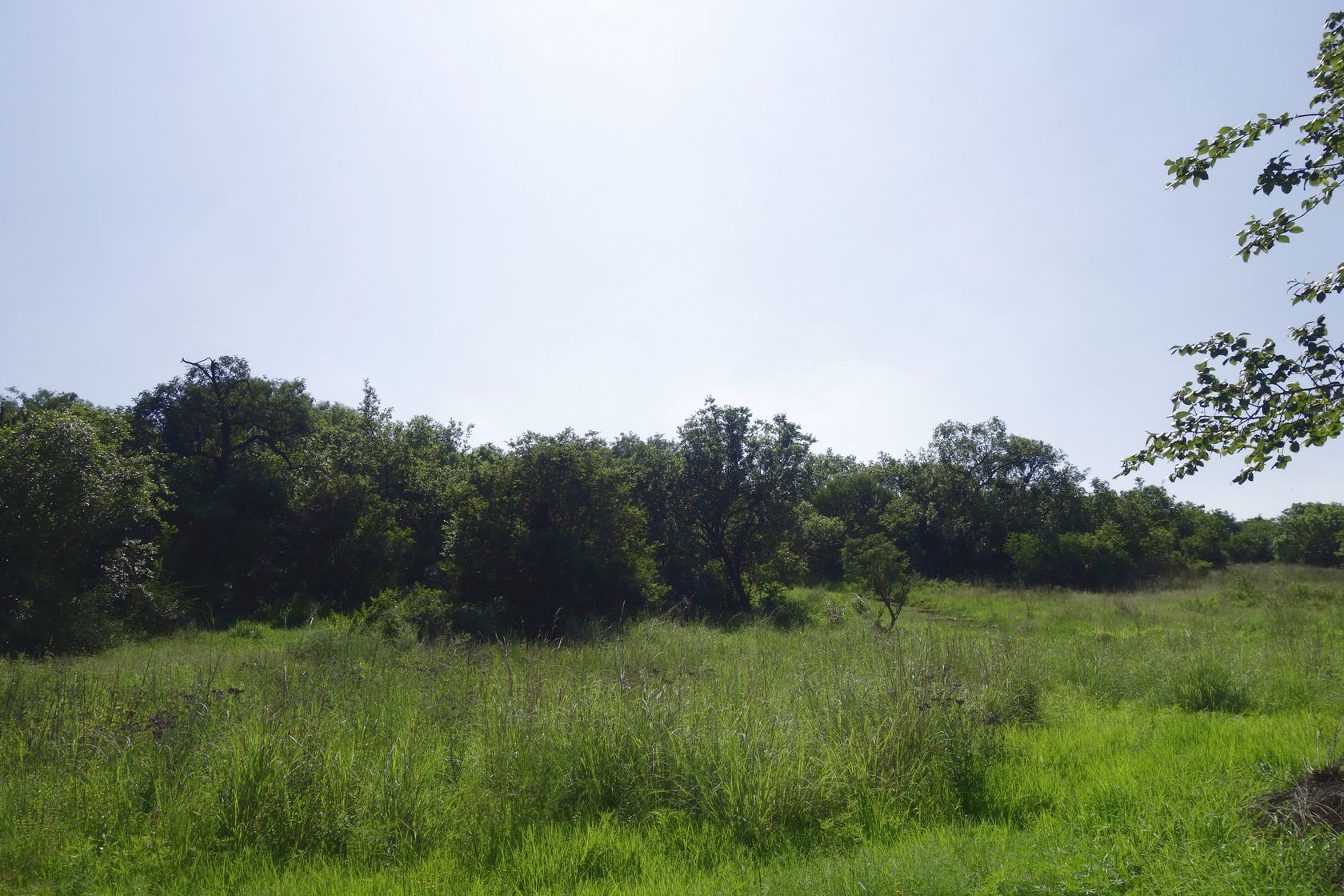 Клиприверсберг, image of landscape/habitat.