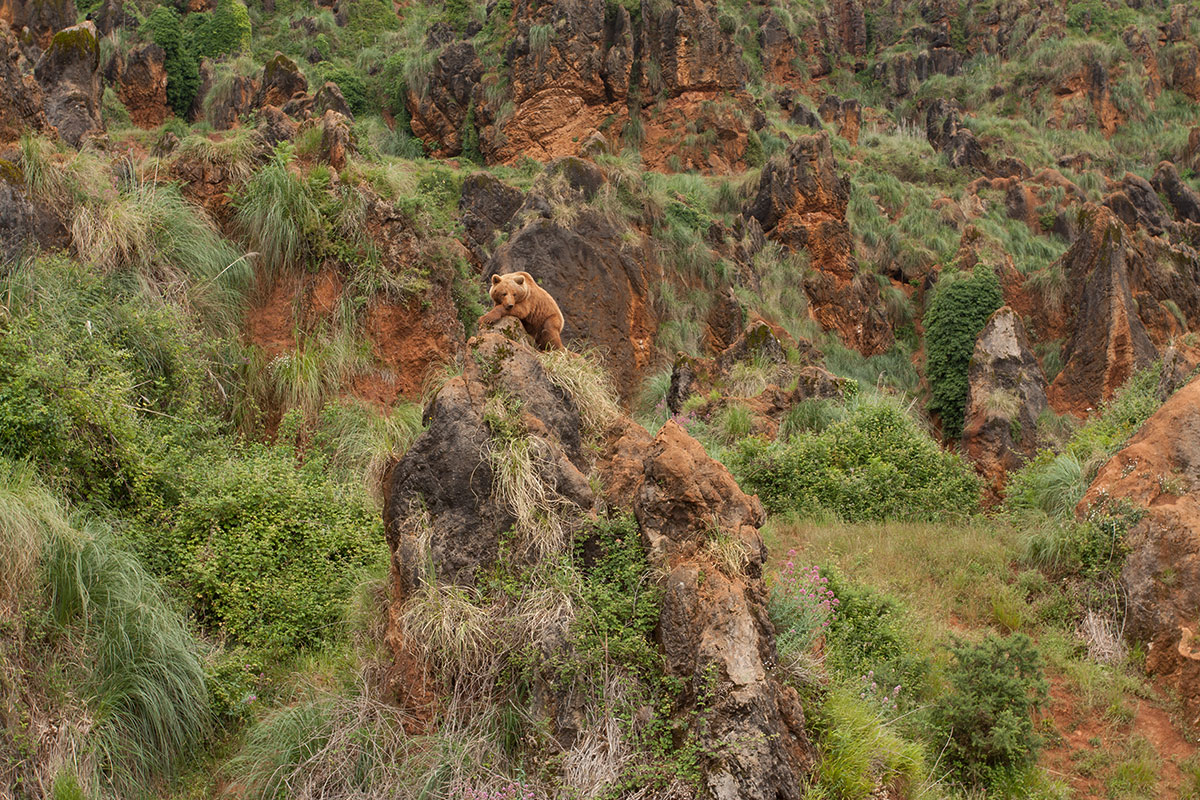 Кабарцено, image of landscape/habitat.