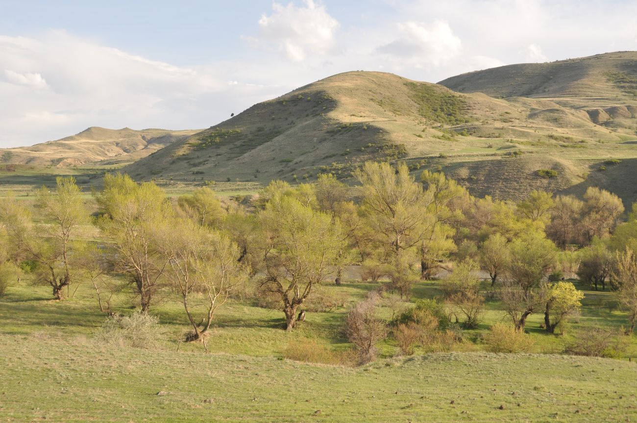 Окрестности Аспиндзы, изображение ландшафта.