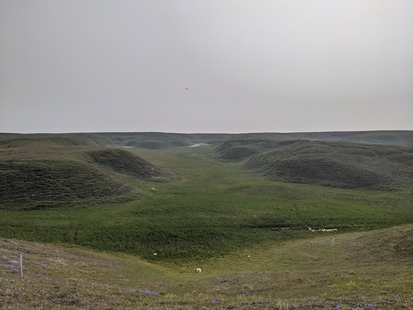 Гыданский полуостров, image of landscape/habitat.