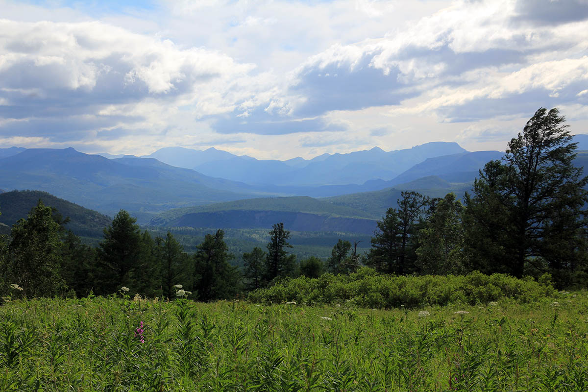 Ручей Тупикин ключ, image of landscape/habitat.