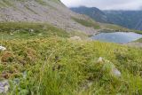 Проточное, image of landscape/habitat.