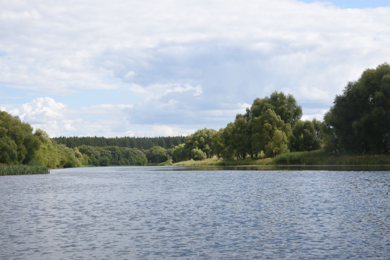 Бигильдино, изображение ландшафта.