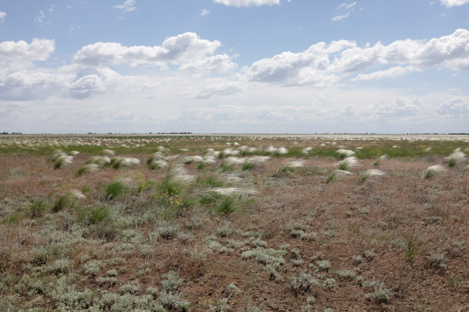 Окрестности села Богдо, image of landscape/habitat.