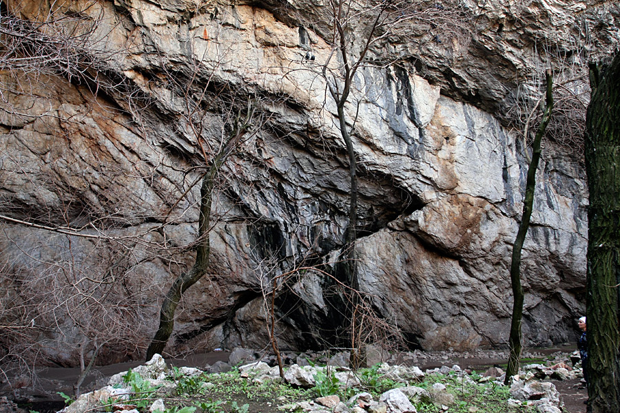 Ак-Мечеть, image of landscape/habitat.