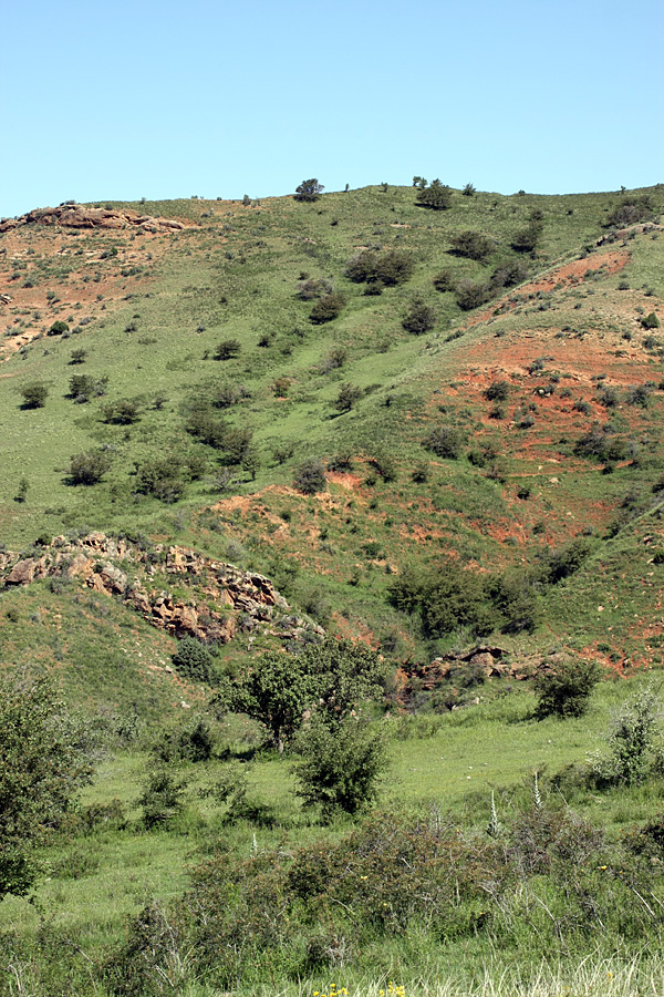 Ущелье Кызылбулак, image of landscape/habitat.
