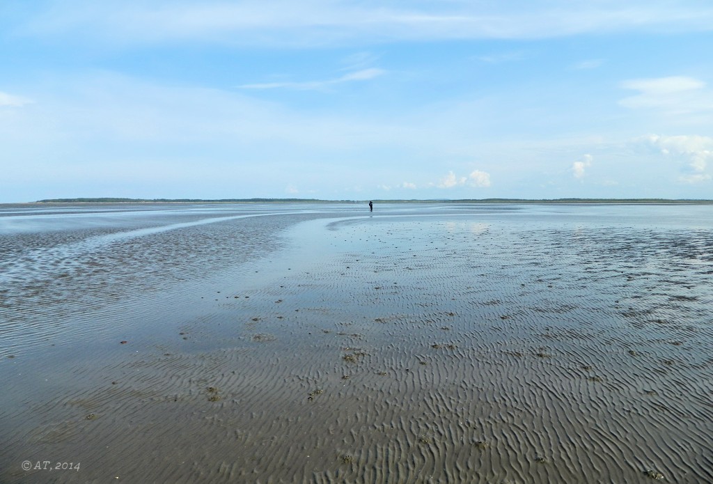 Унежма, image of landscape/habitat.