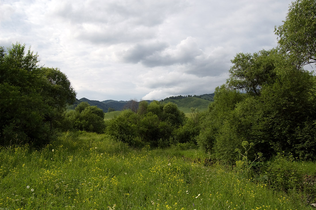 Сема, image of landscape/habitat.