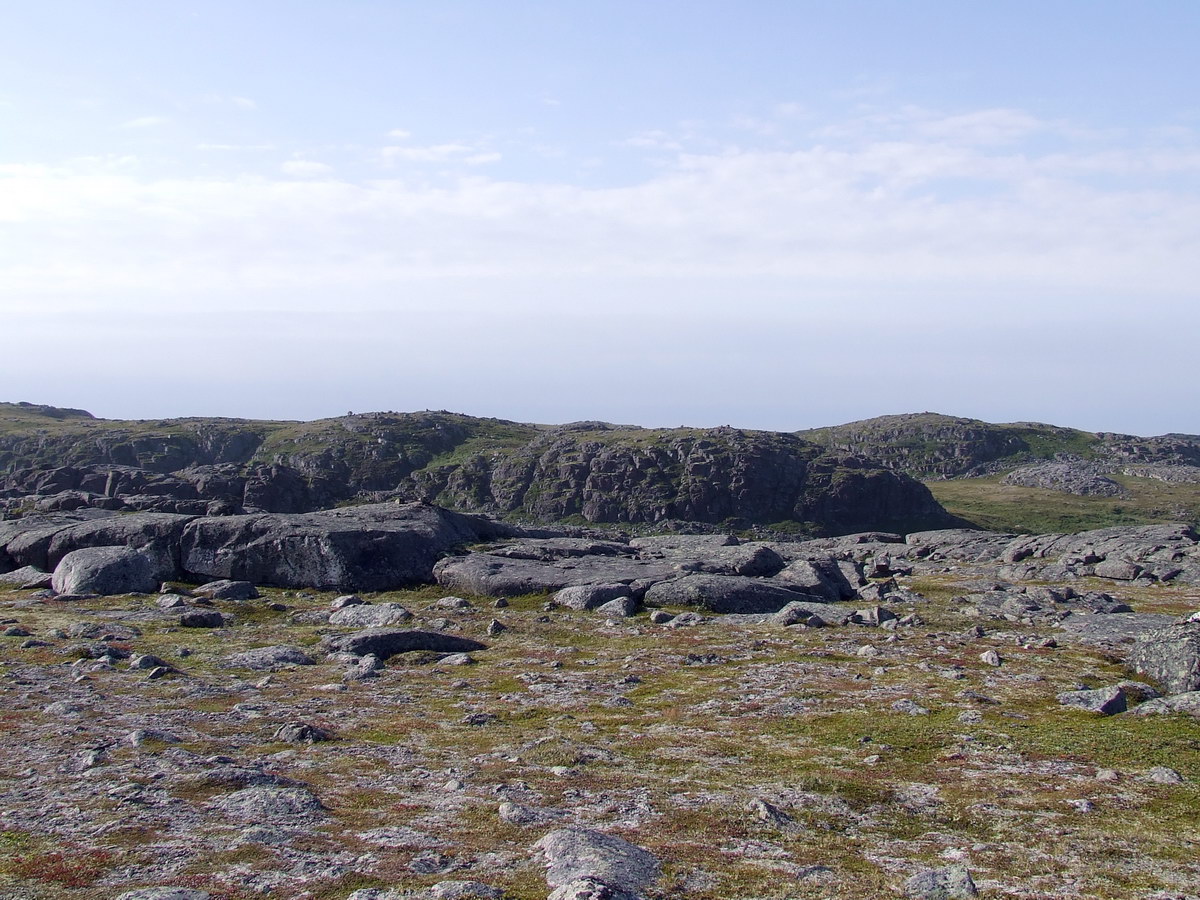 Порчниха, image of landscape/habitat.