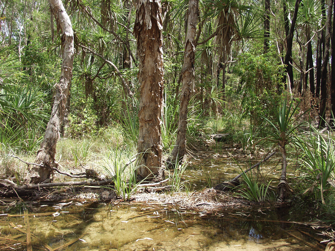 Kakadu, image of landscape/habitat.