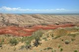 Image of landscape