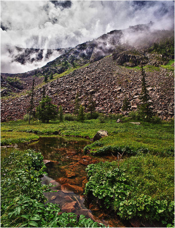 Борус, image of landscape/habitat.