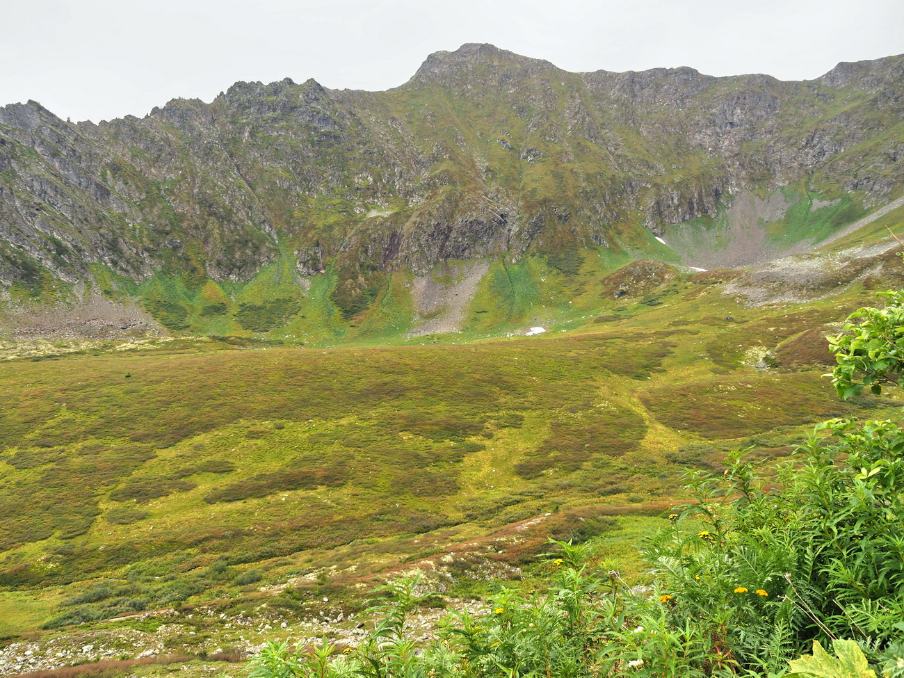 Узун Арга, image of landscape/habitat.