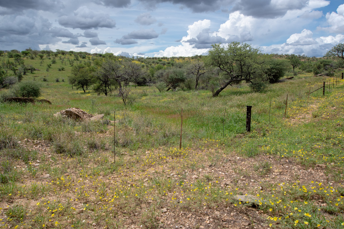 Кхомас, image of landscape/habitat.