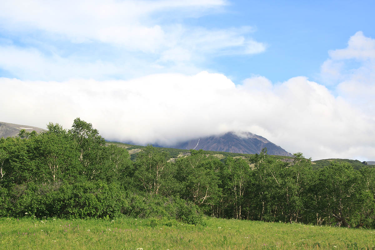 Ручей Тупикин ключ, image of landscape/habitat.