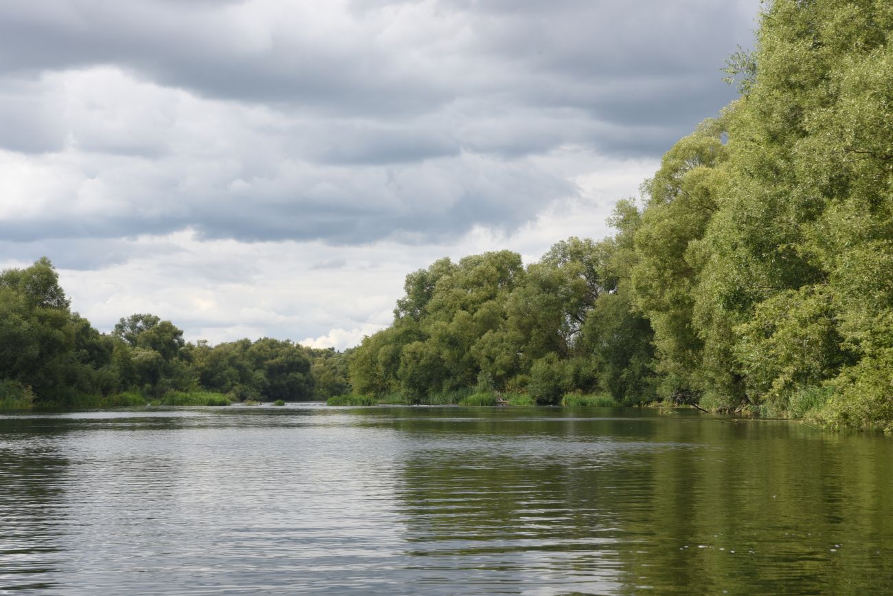 Бигильдино, изображение ландшафта.