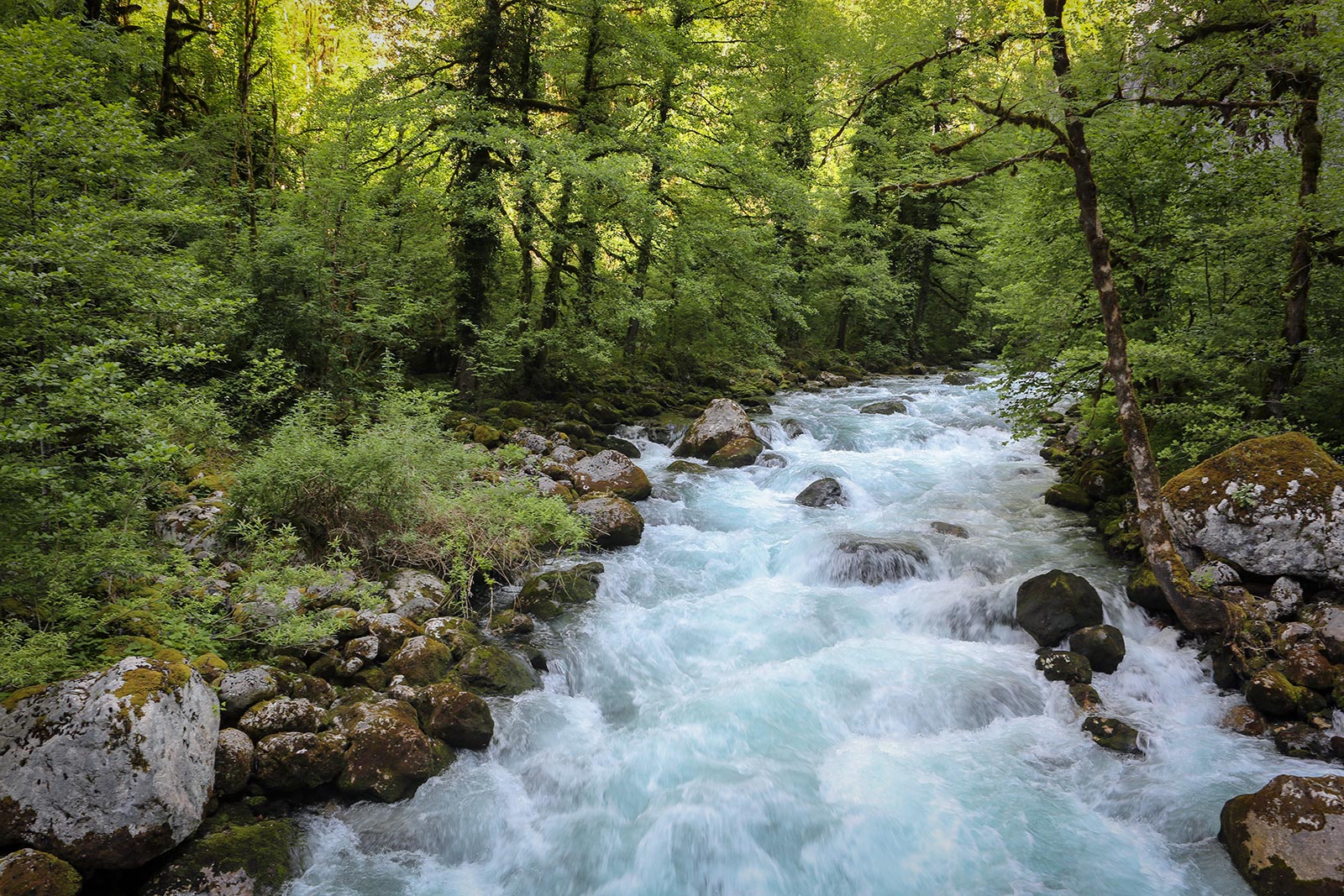 Юпшарский каньон, image of landscape/habitat.