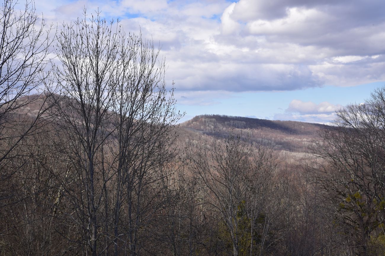 Гора Острах, изображение ландшафта.