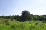 Image of landscape