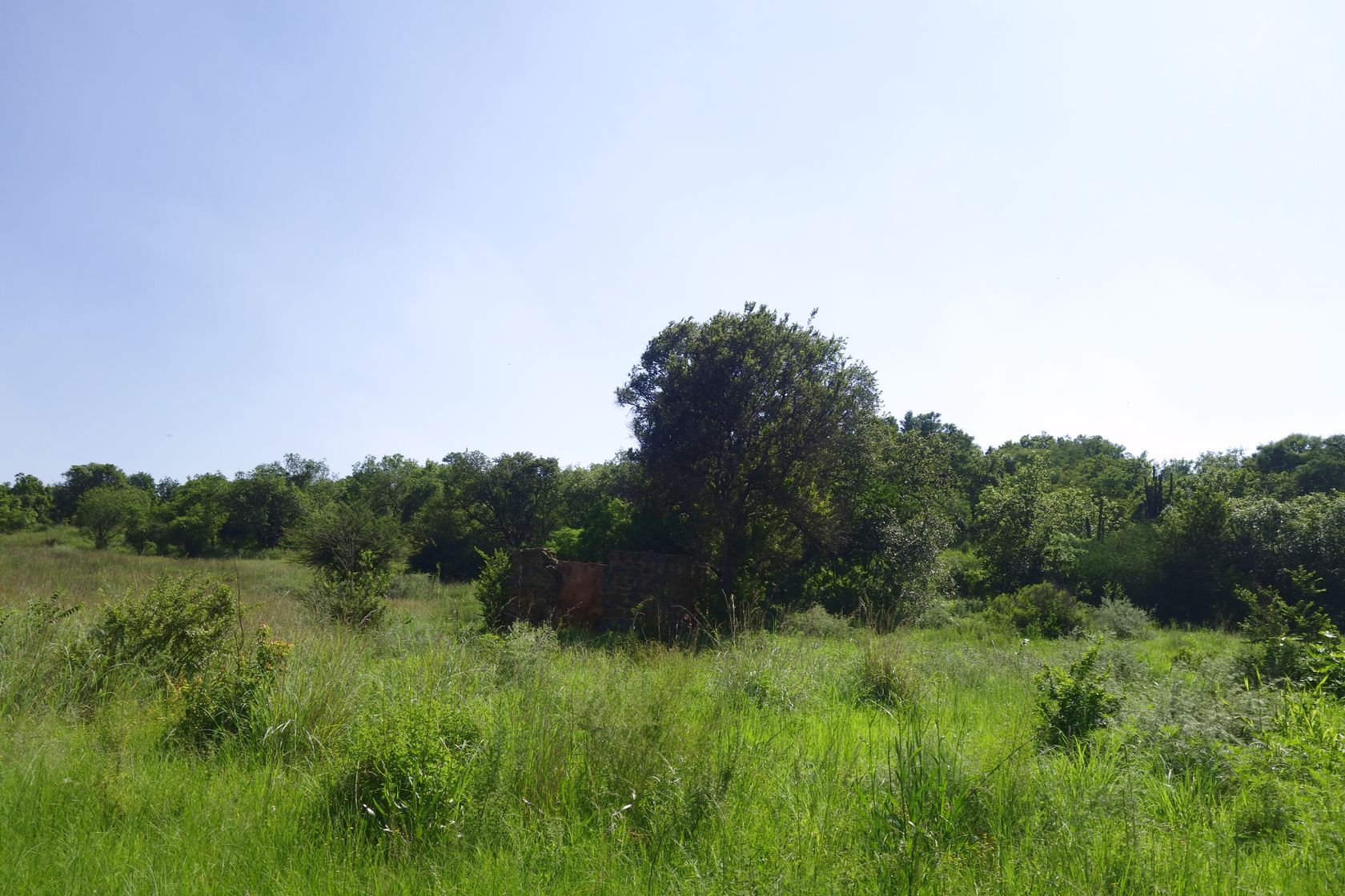 Клиприверсберг, image of landscape/habitat.
