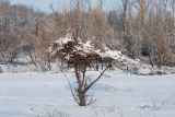 Поселок Улугбек, СЗЗ, image of landscape/habitat.