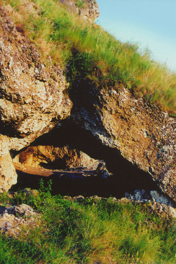 Старые Дуруиторы, image of landscape/habitat.