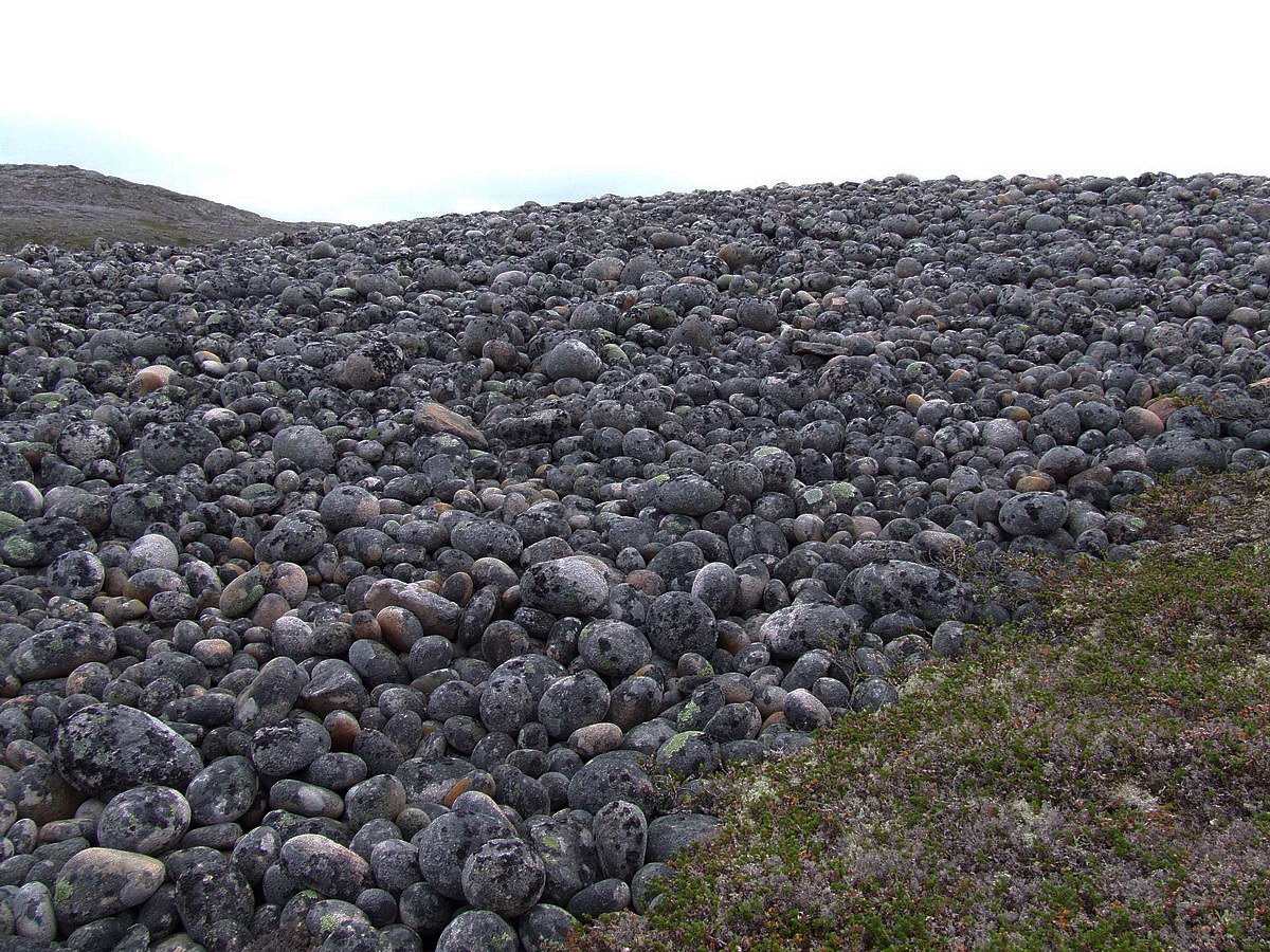 Порчниха, image of landscape/habitat.