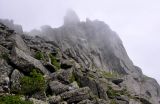 Image of landscape