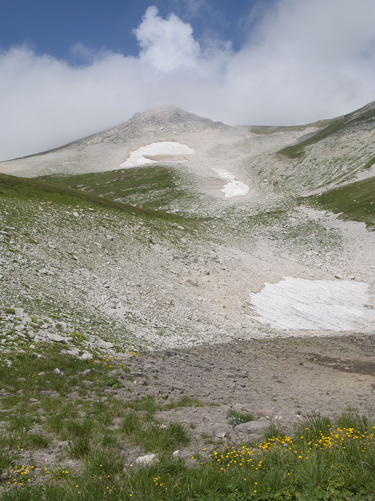 Юго-восточный отрог Оштена, image of landscape/habitat.