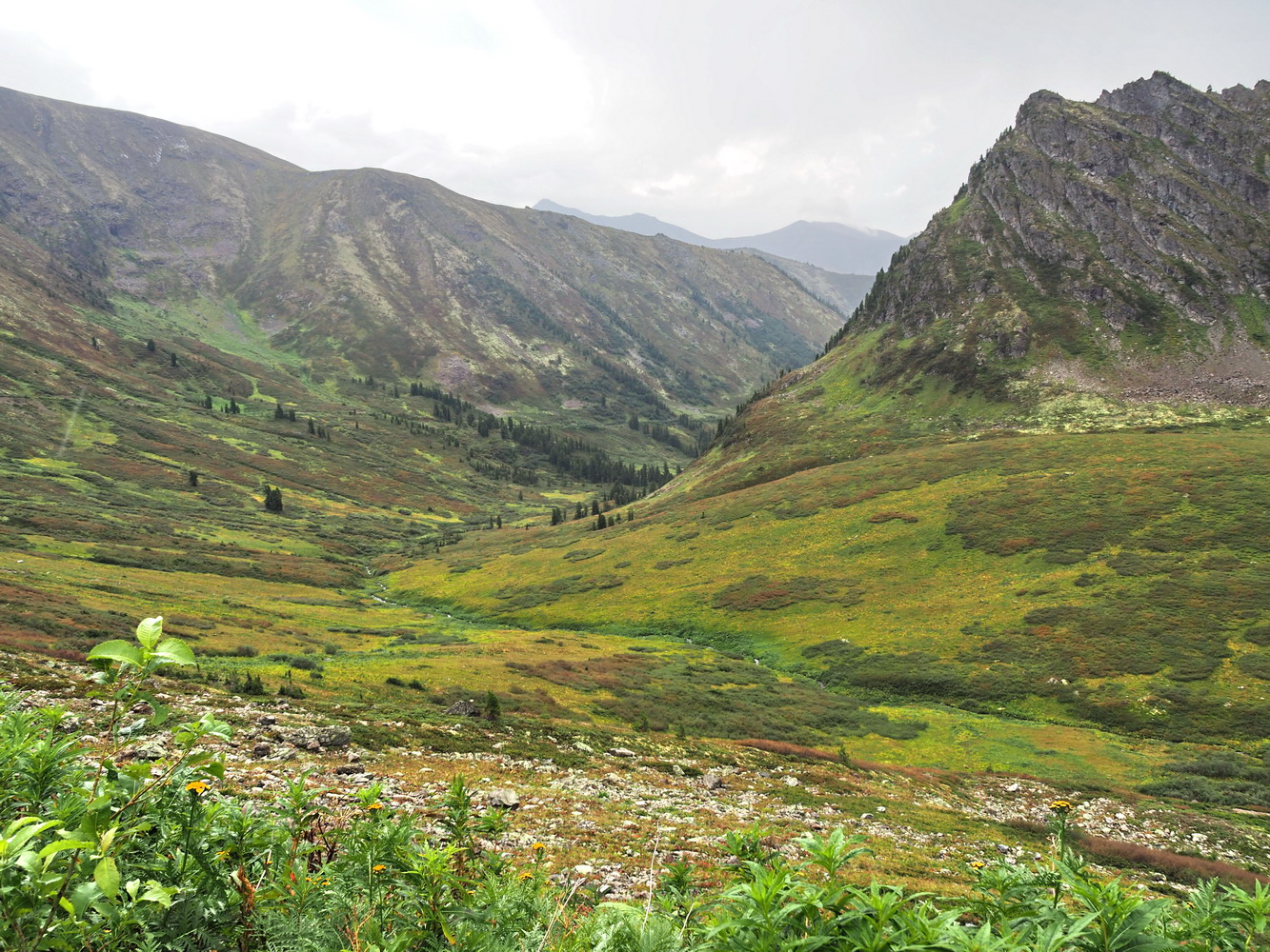 Узун Арга, image of landscape/habitat.