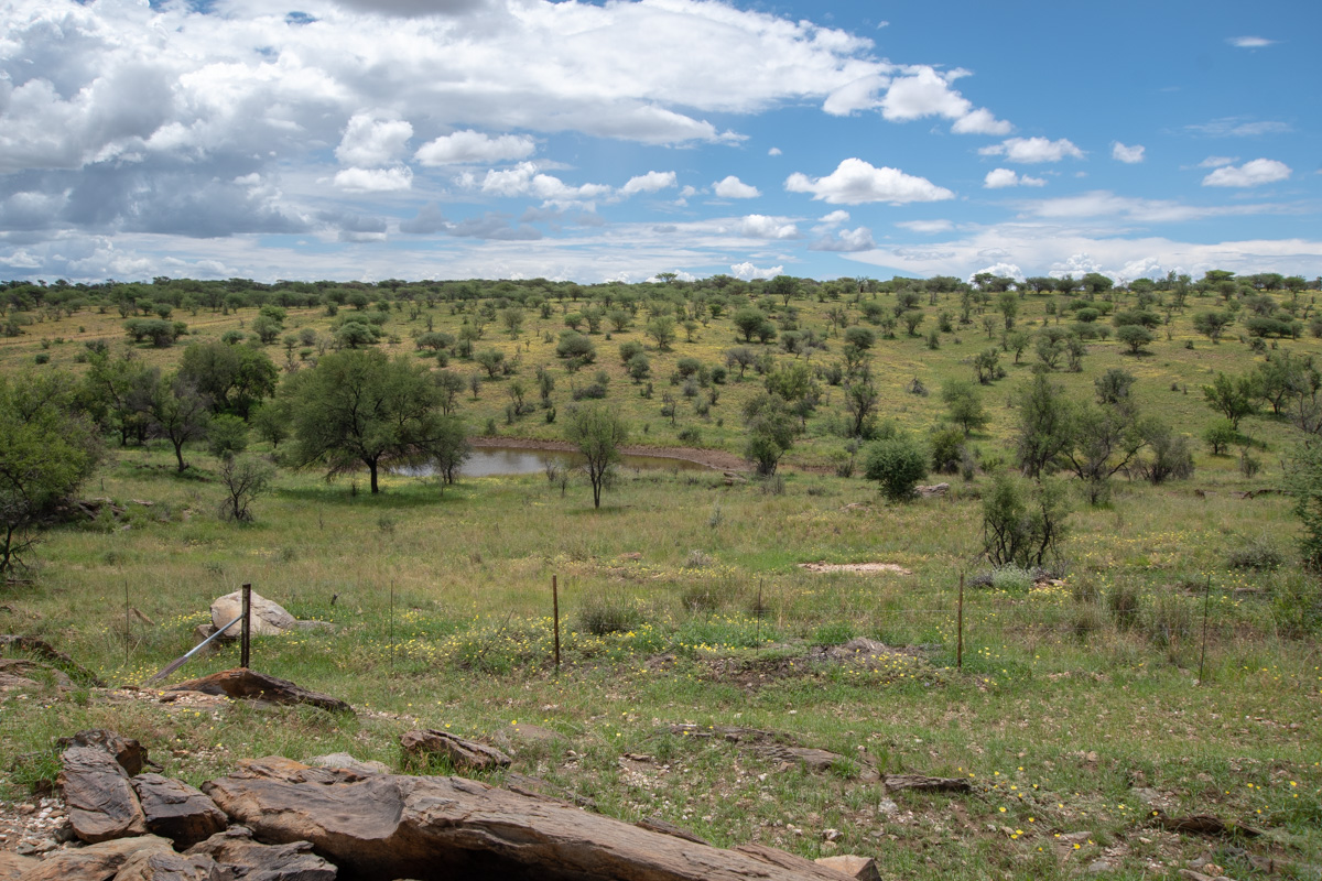 Кхомас, image of landscape/habitat.