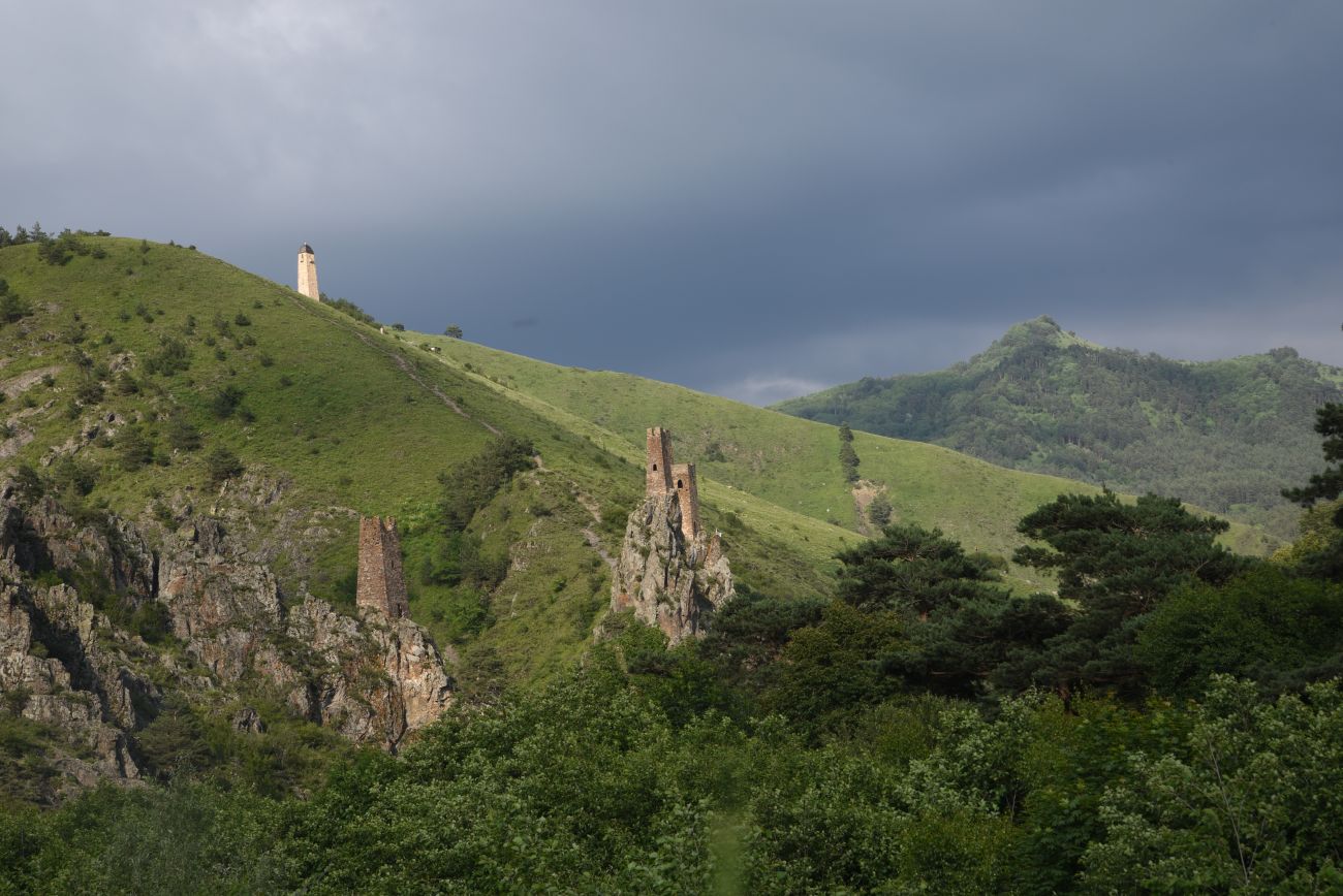 Вовнушки, image of landscape/habitat.