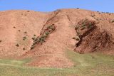 Image of landscape