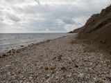 Урочище Алчак-Кая, image of landscape/habitat.