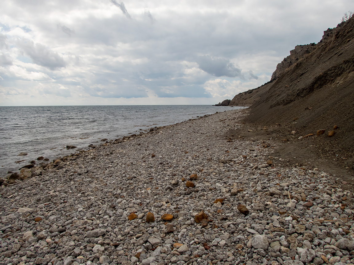 Урочище Алчак-Кая, image of landscape/habitat.