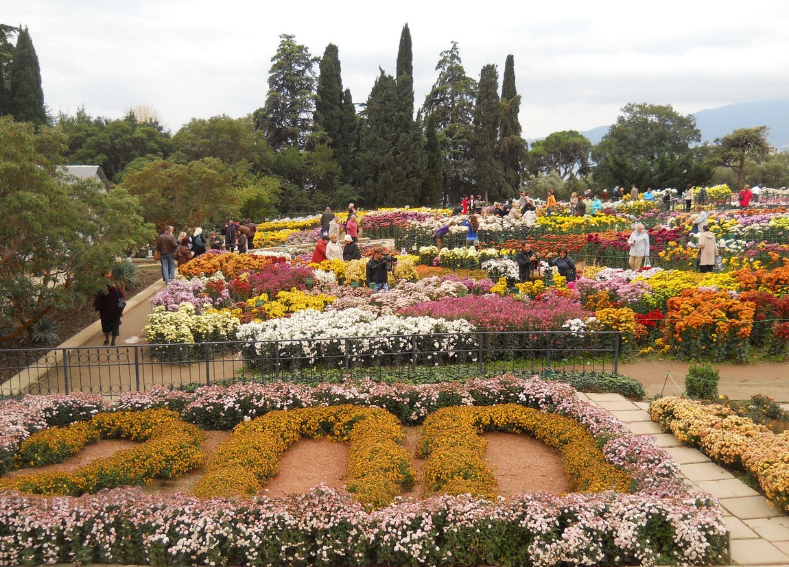 Никитский ботанический сад, image of landscape/habitat.