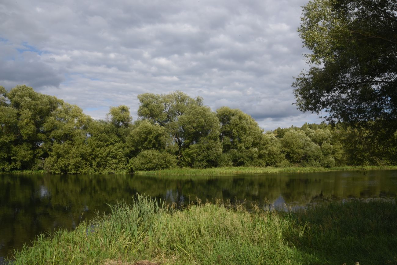 Бигильдино, изображение ландшафта.