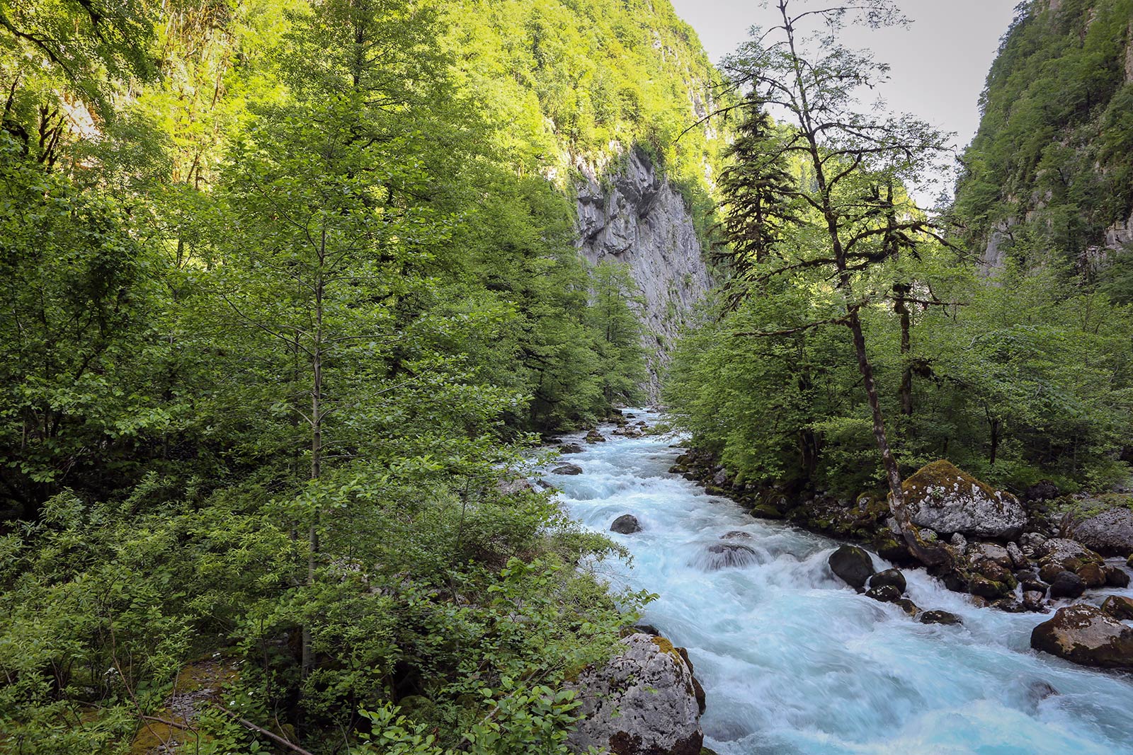 Юпшарский каньон, image of landscape/habitat.