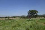 Image of landscape