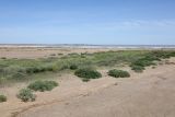 Image of landscape